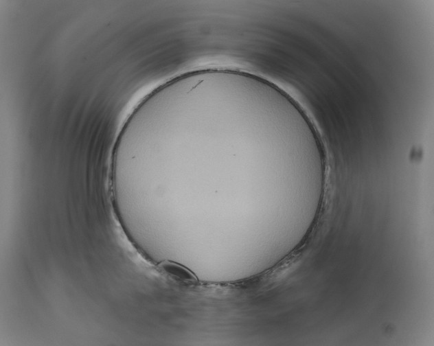 X0000114420815200911131449