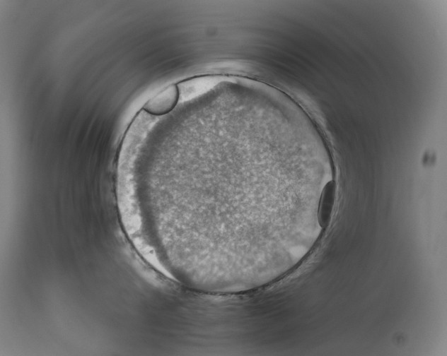 X0000114420816200911131449