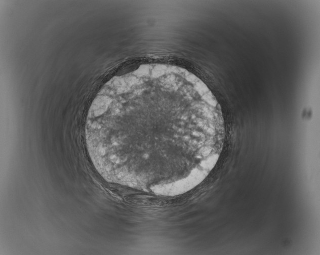 X0000114420817200911131449