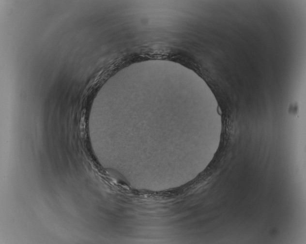 X0000114420818200911131449