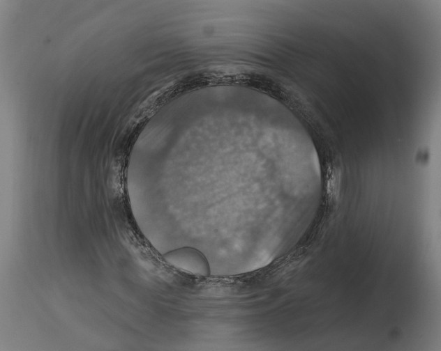 X0000114420819200911131449