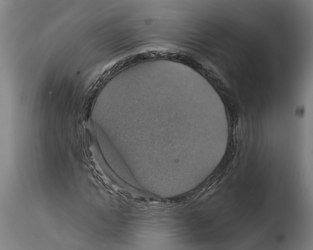 X0000114420822200911131449