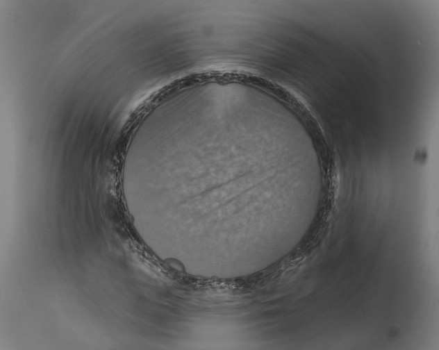 X0000114420823200911131449