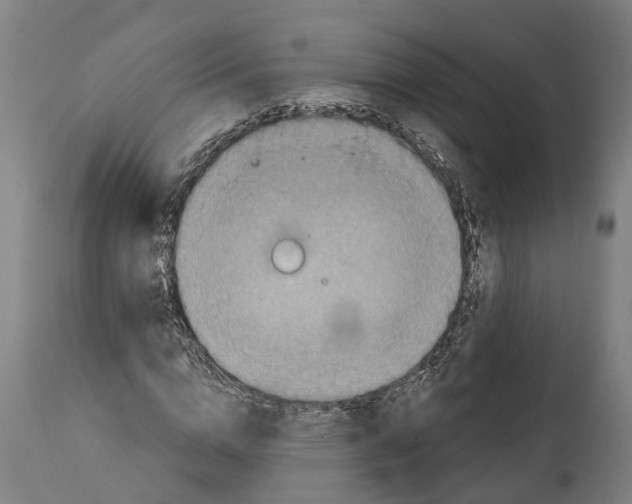 X0000114420824200911131449