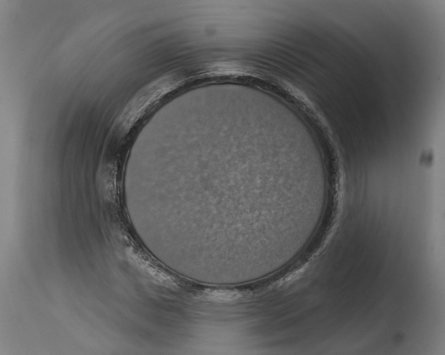 X0000114420825200911131449