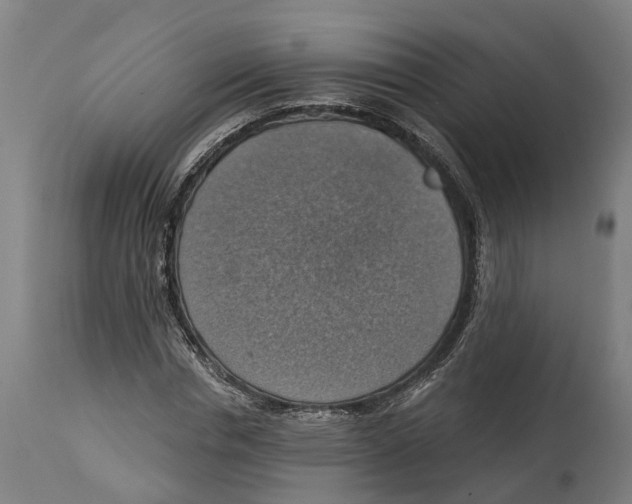 X0000114420826200911131449