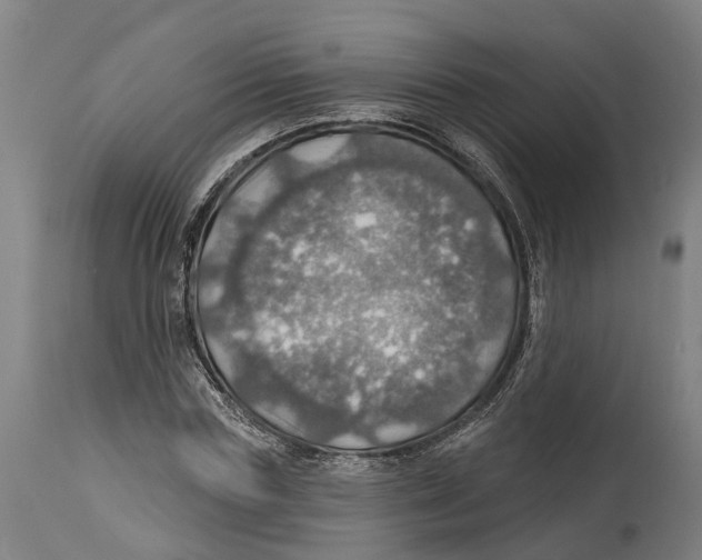 X0000114420827200911131449