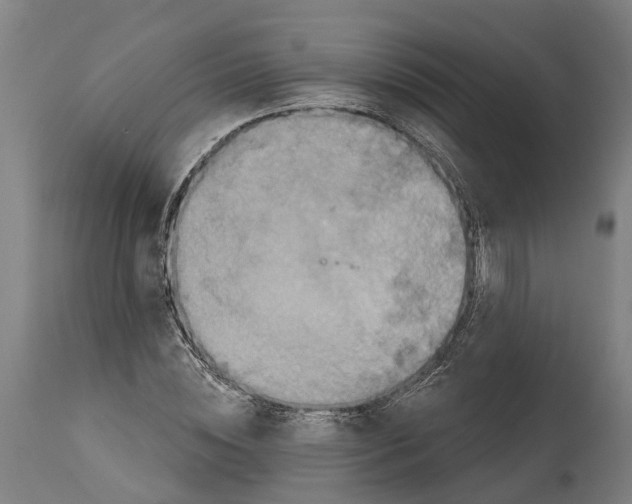 X0000114420828200911131449