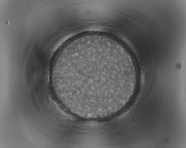 X0000114420829200911131449