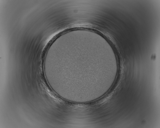 X0000114420830200911131449