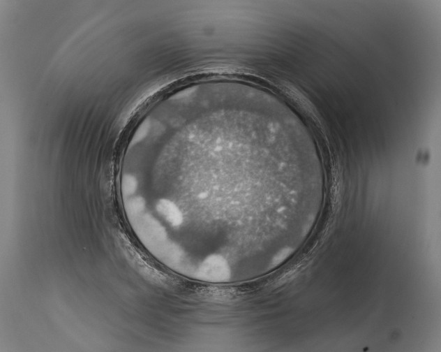 X0000114420831200911131449