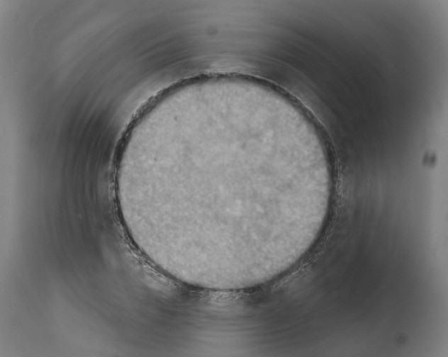 X0000114420832200911131449