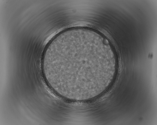 X0000114420834200911131449