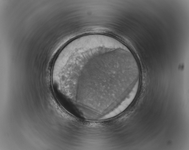 X0000114420835200911131449