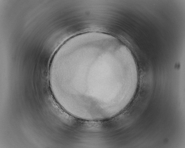 X0000114420836200911131449