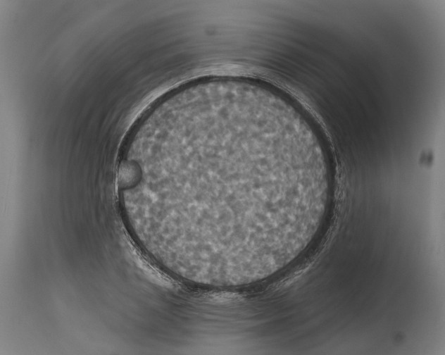 X0000114420837200911131449