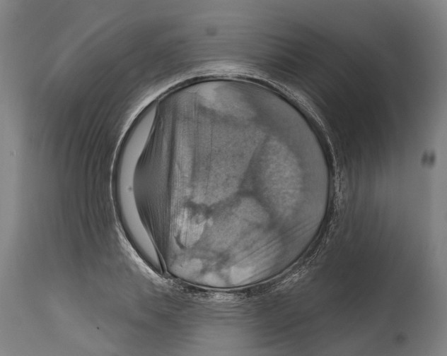 X0000114420839200911131449