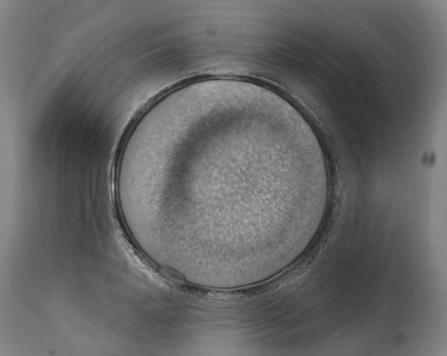 X0000114420840200911131449