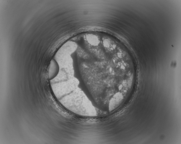 X0000114420841200911131449