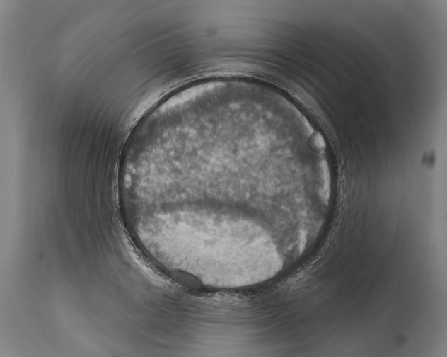 X0000114420842200911131449