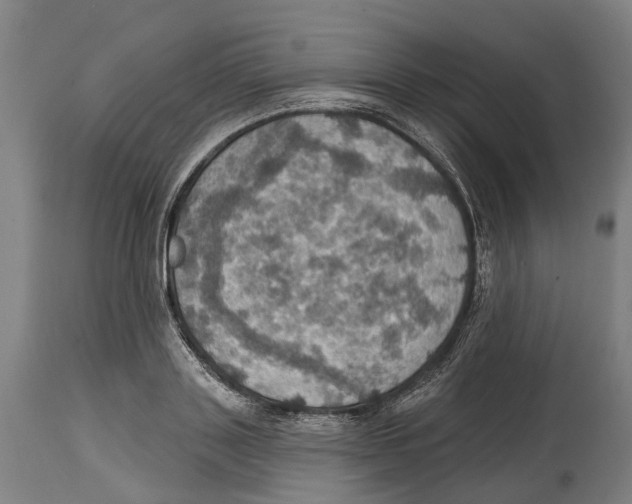 X0000114420843200911131449