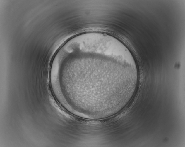 X0000114420844200911131449