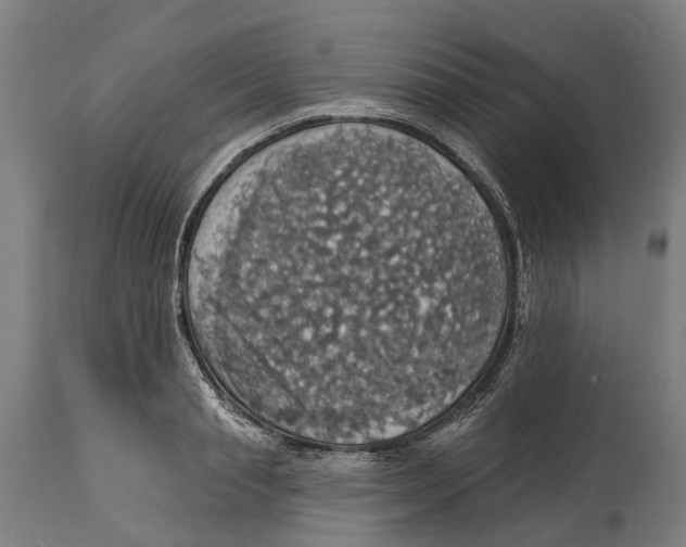 X0000114420845200911131449