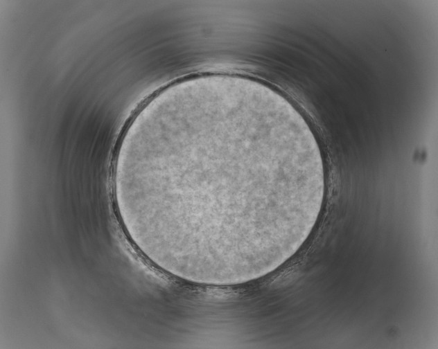 X0000114420848200911131449