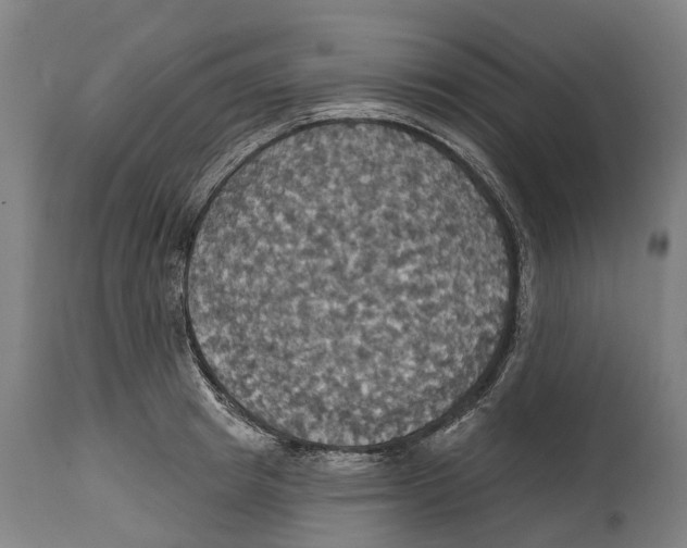 X0000114420849200911131449