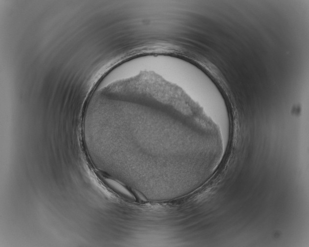 X0000114420850200911131449