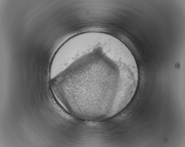 X0000114420852200911131449