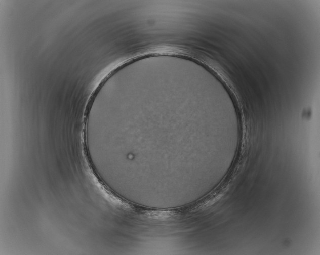 X0000114420853200911131449