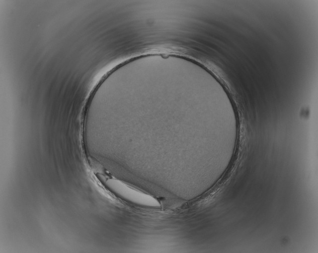 X0000114420854200911131449