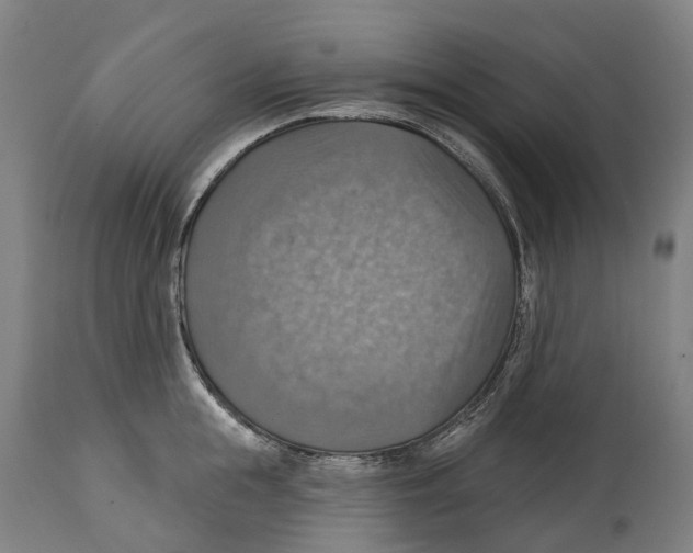 X0000114420855200911131449