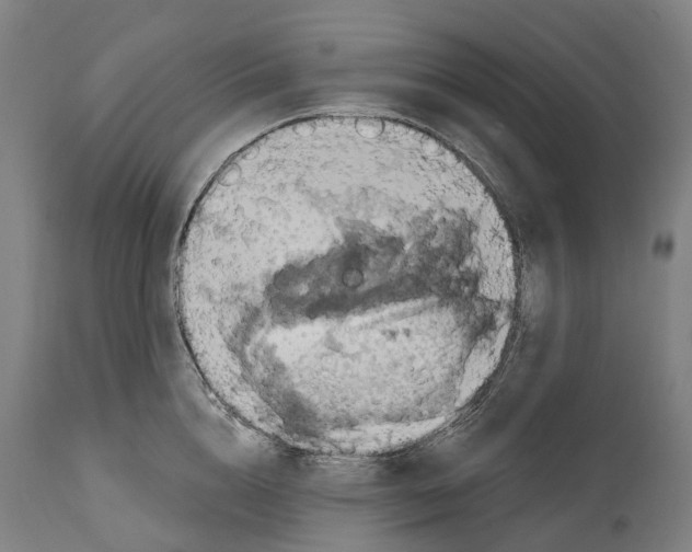 X0000114420856200911131449