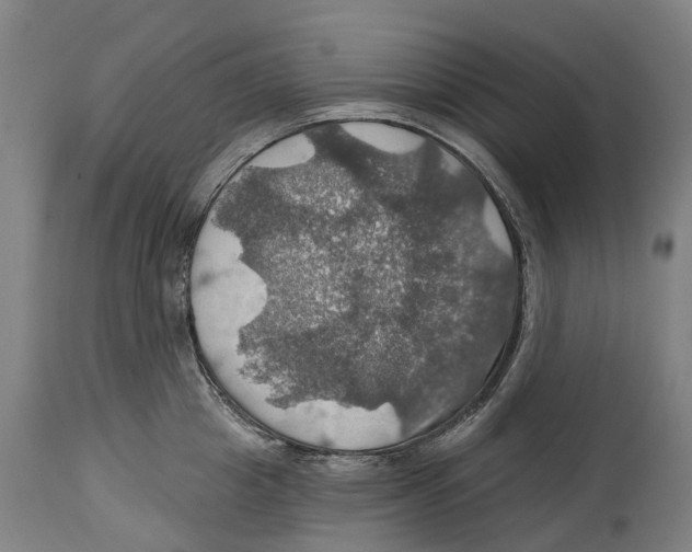 X0000114420857200911131449