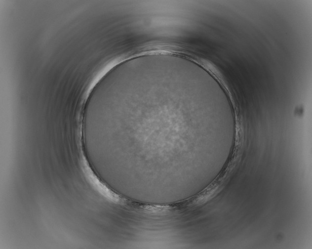 X0000114420859200911131449