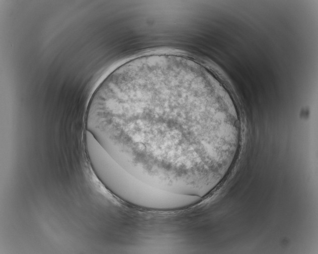 X0000114420860200911131449