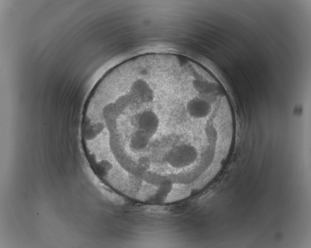 X0000114420861200911131449