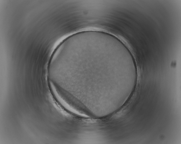 X0000114420862200911131449