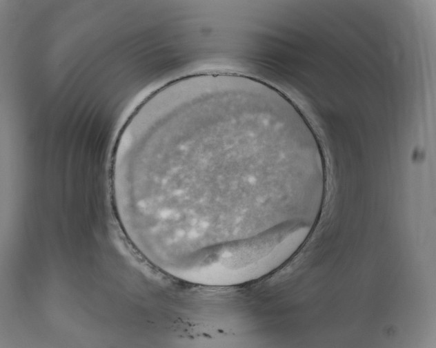 X0000114420864200911131449