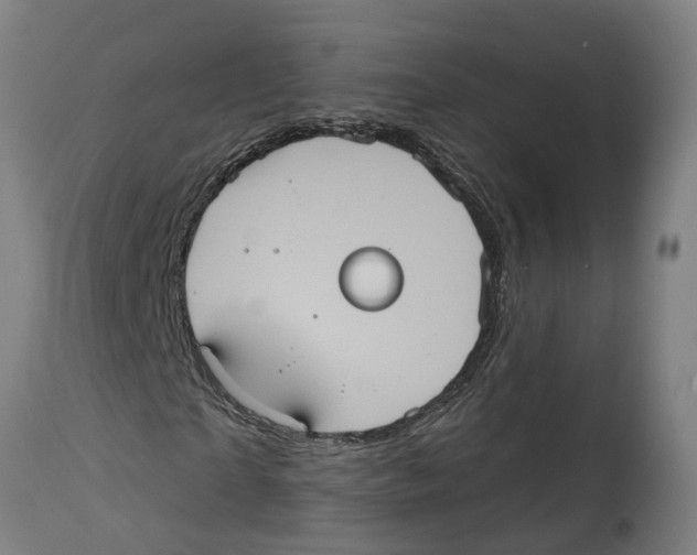 X0000114420865200911131448