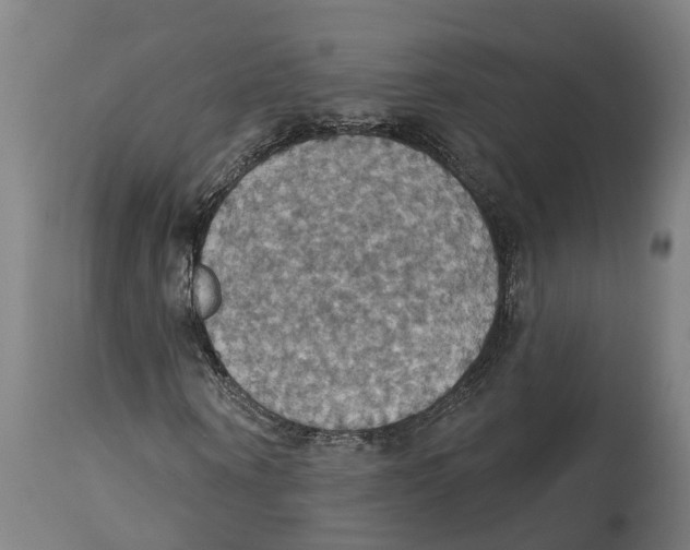 X0000114420866200911131448