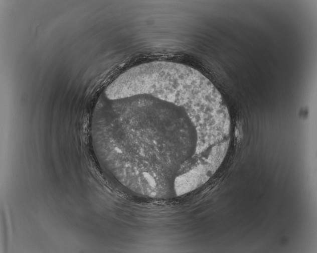 X0000114420867200911131448