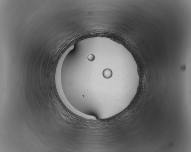 X0000114420868200911131448