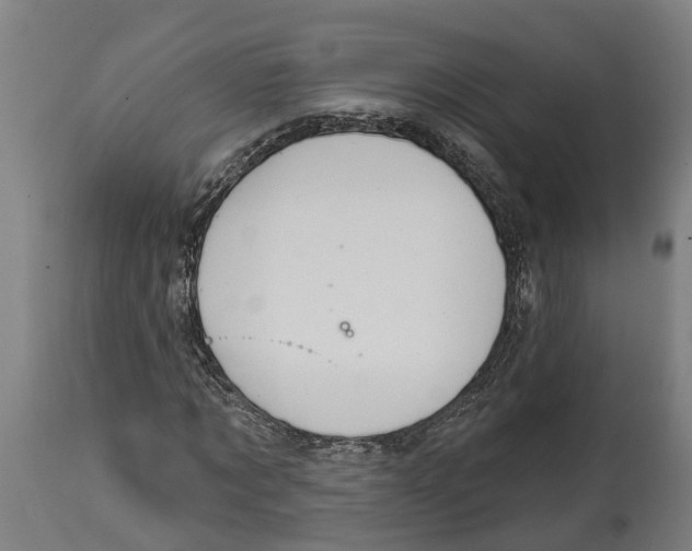 X0000114420869200911131448