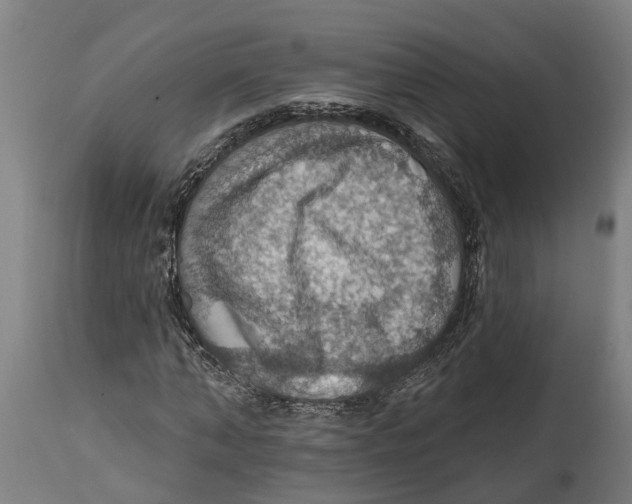 X0000114420870200911131448