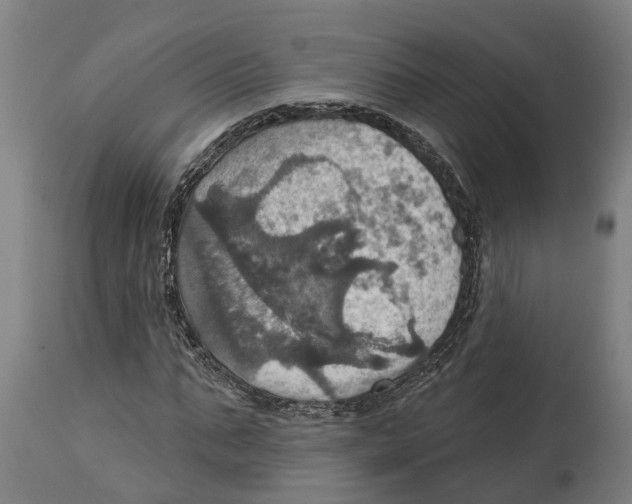 X0000114420871200911131448