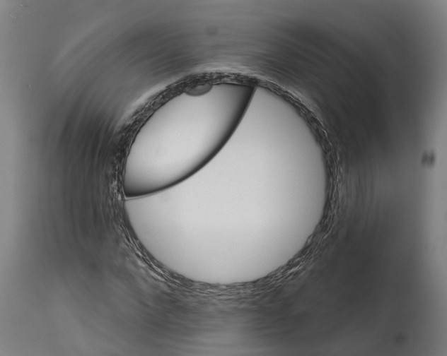 X0000114420872200911131448