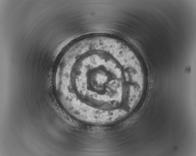 X0000114420875200911131448